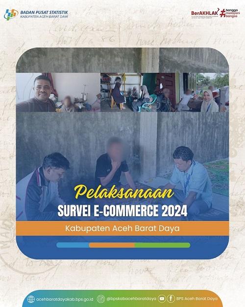 Pelaksanaan Survei E-Commerce 2024