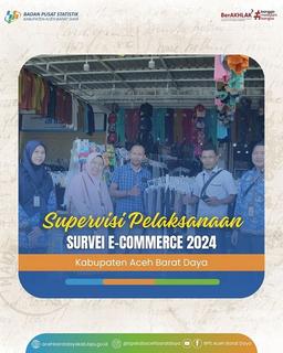 Supervisi Pelaksanaan Survei E-Commerce