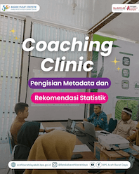 Coaching Clinic Pengisian Metadata dan Rekomendasi Statistik